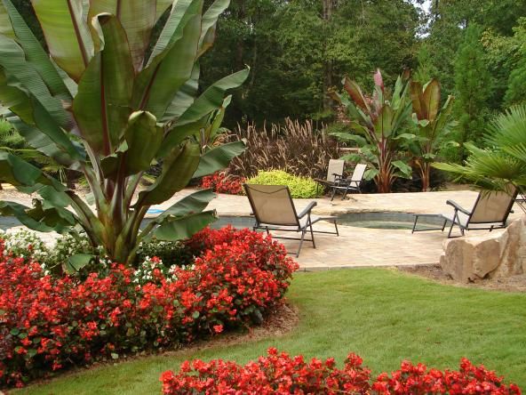 Beautiful tropical landscaping to bring your outdo