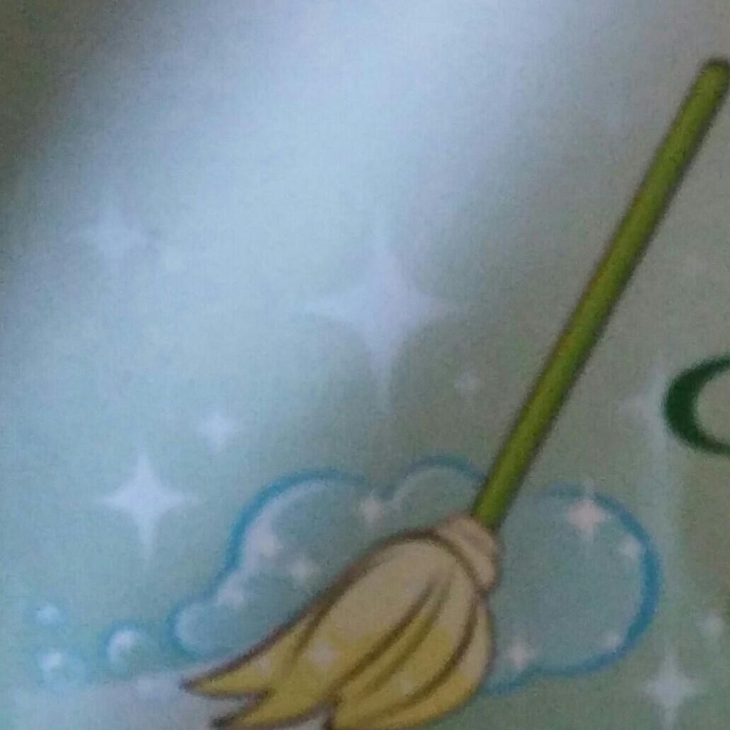 Sweeks cleaning