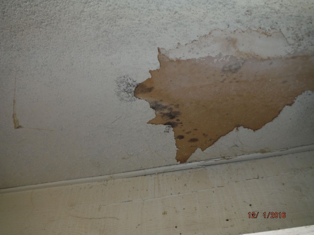 Interior garage inspection - Mold growth discovere