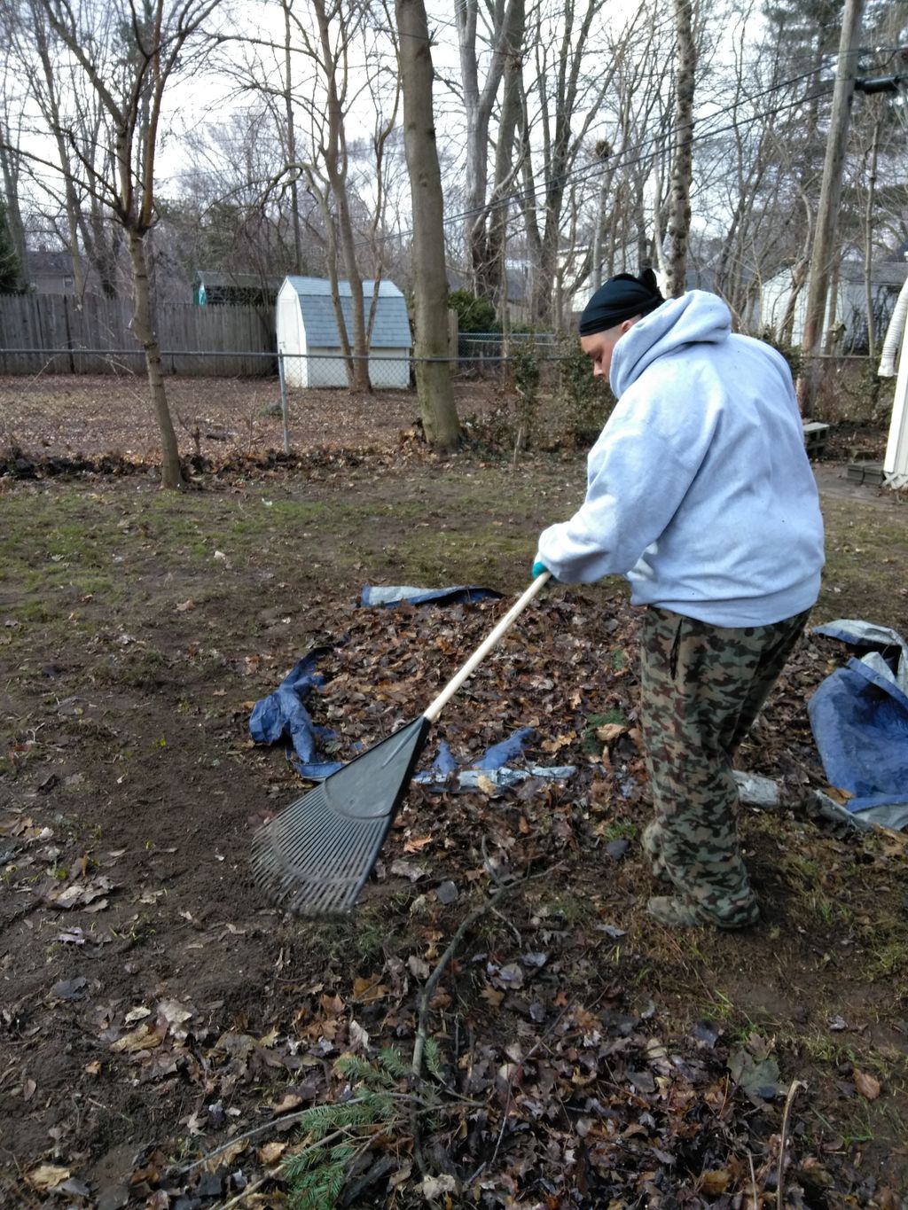 leaf cleanup