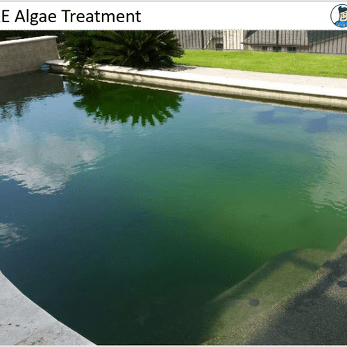 Before our green algae treatment. This is a slide 