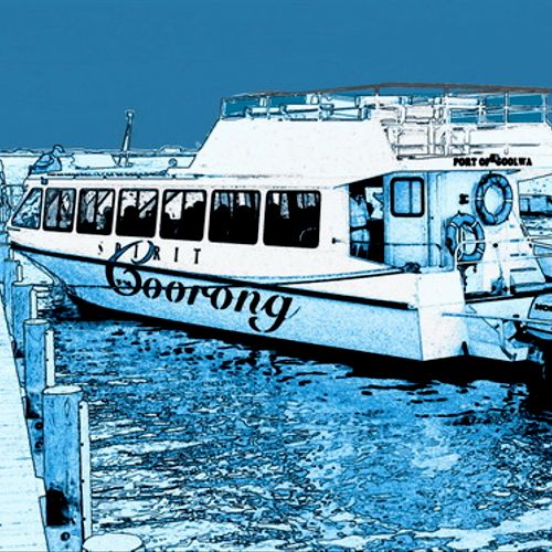 Coorong NP Tour Boat, Digital Drawing