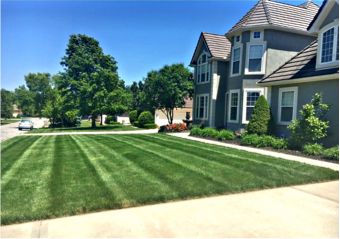 Look at those lawn stripes! Sign up for weekly law
