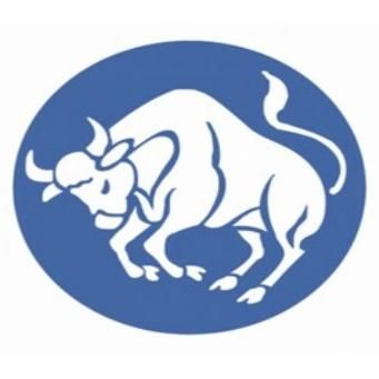 Avatar for Taurus Gutters LLC