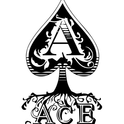 Ace Landscaping & Construction