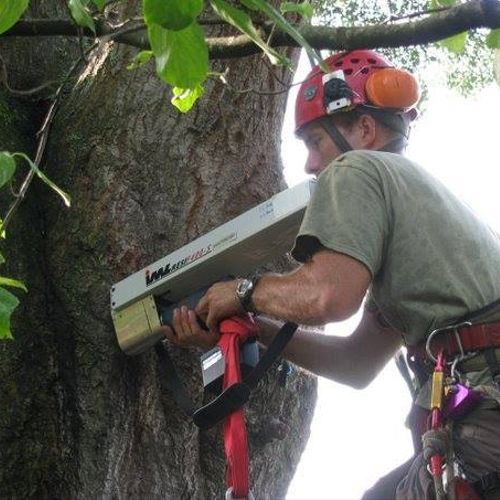 ISA-Certified Arborists on staff
www.newurbanfores
