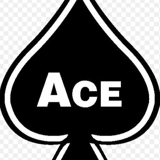 Ace electric