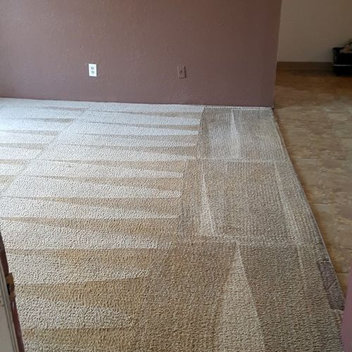 After, Carpet Cleaning Salt Lake City, Utah
