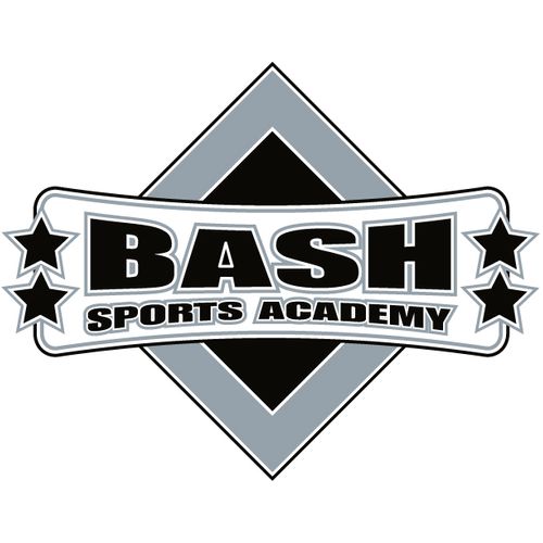 Logo design for a Baseball academy.