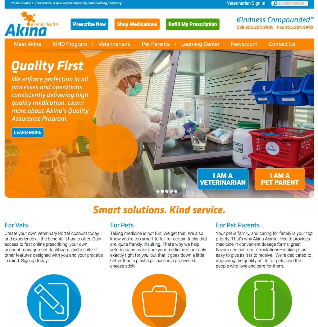 Website Development, SEO, SEM Campaign for Akina A