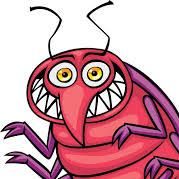 Bug Man Pest Control
