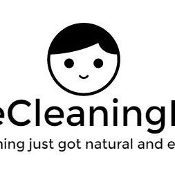 TheCleaningBoy
