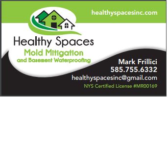 Healthy Spaces Mold Mitigation and Basement Wat...