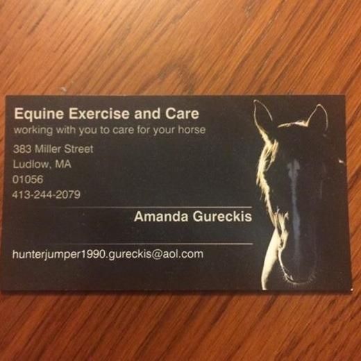 Equine Exercise and Care