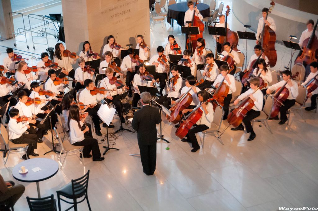 parties, recitals, concert events