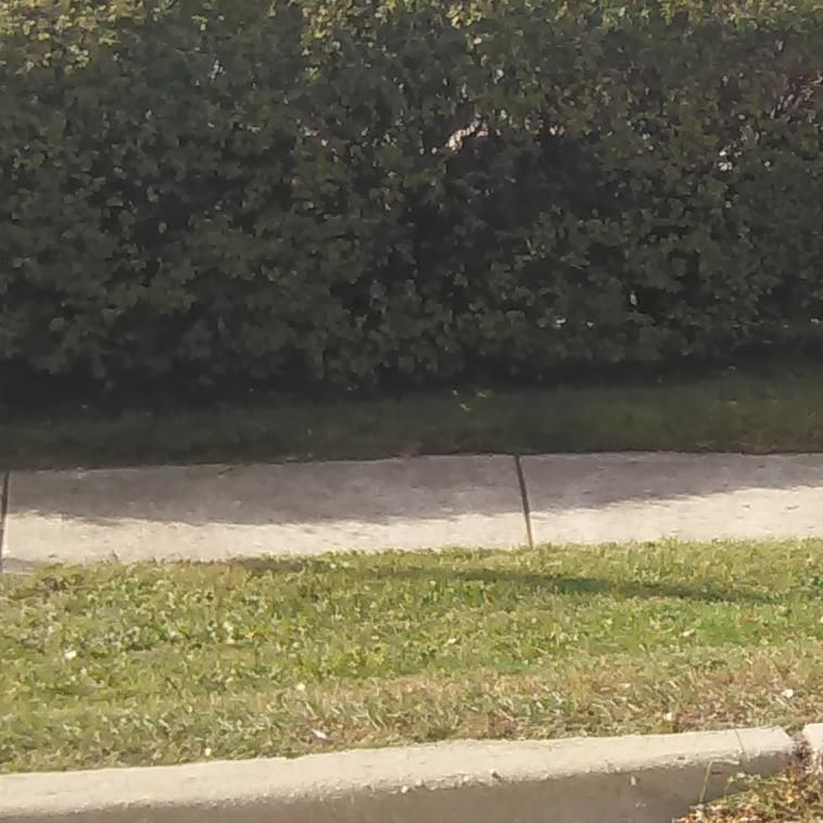 Homes Green Solution