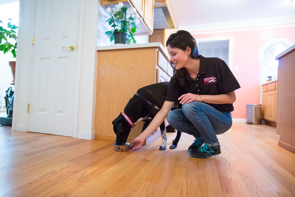 We'll feed your pets and care for your home when y