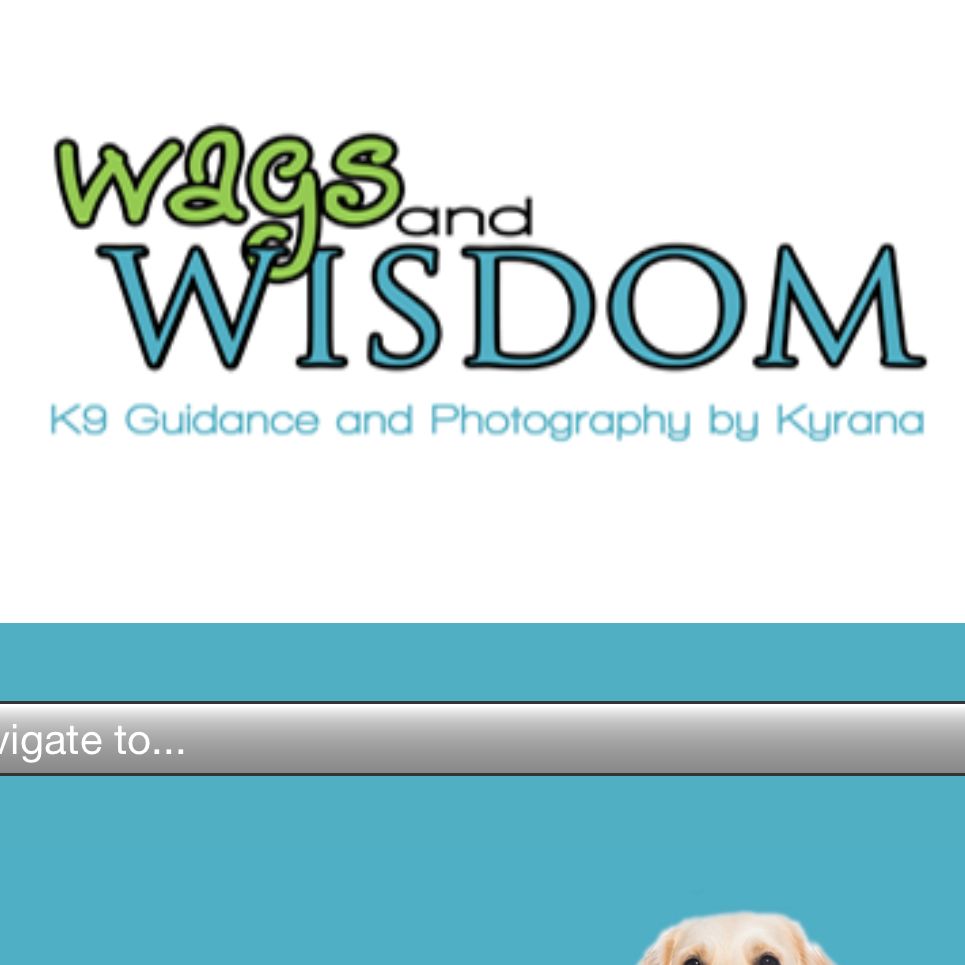 Wags and Wisdom