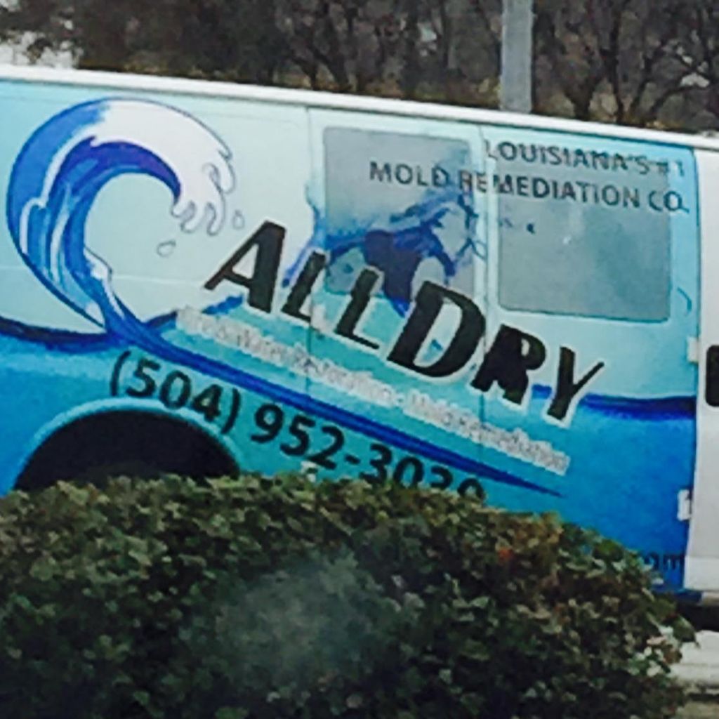 All Dry Water Damage Experts