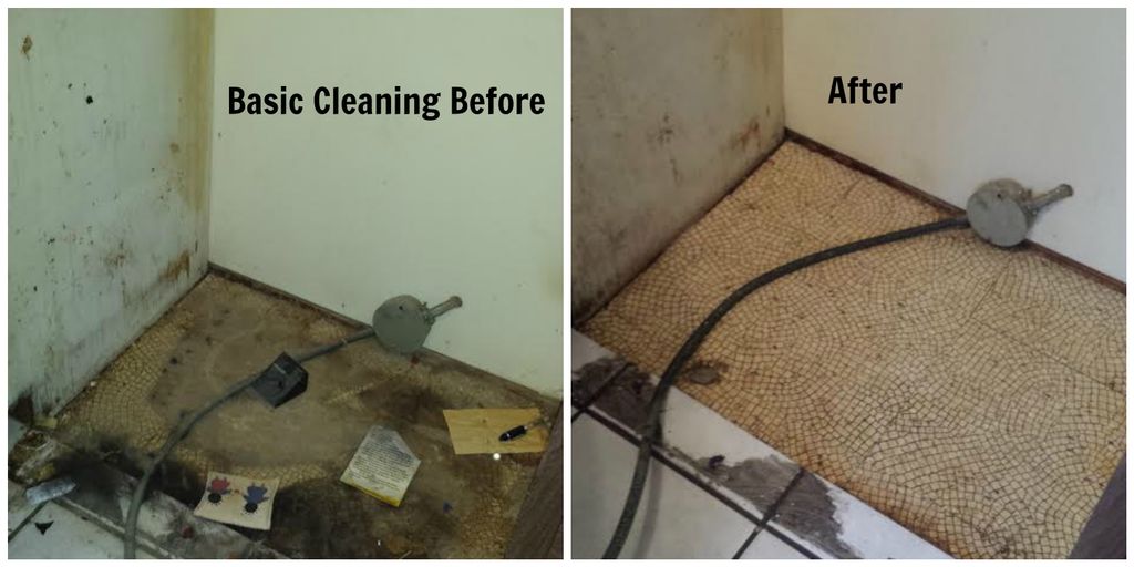 Before & After Basic Cleaning