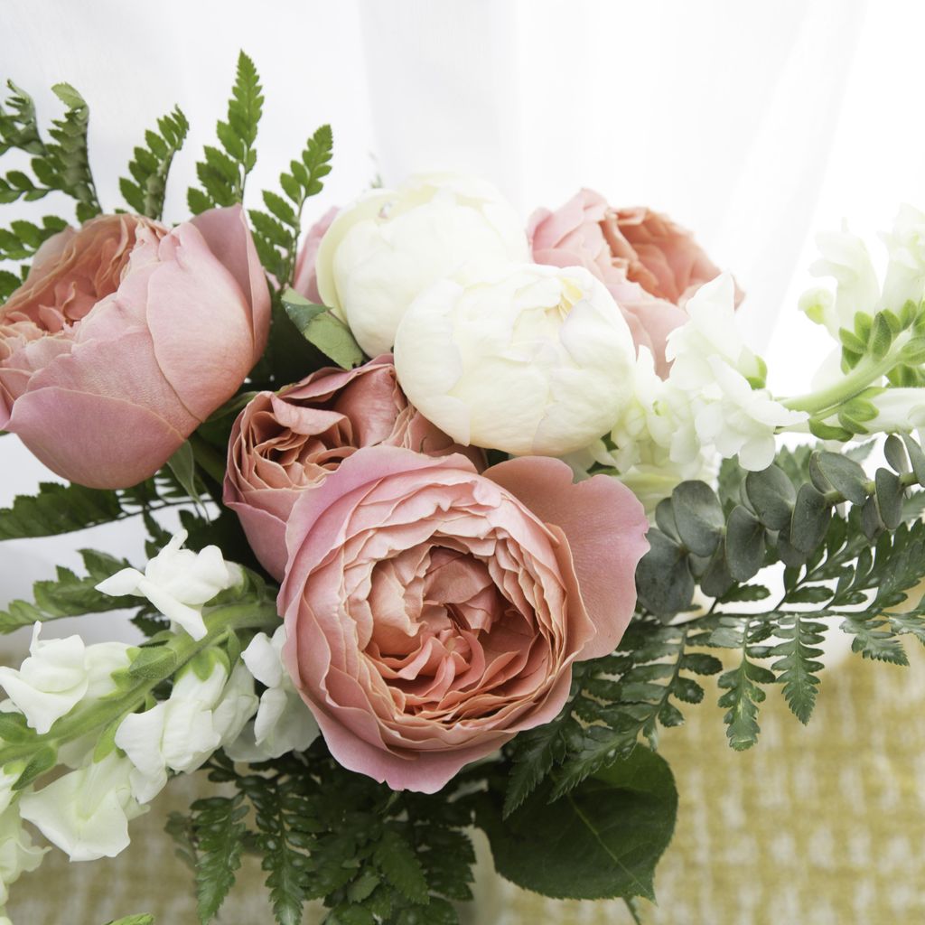 Lindsay Johnson Photography L.L.C.