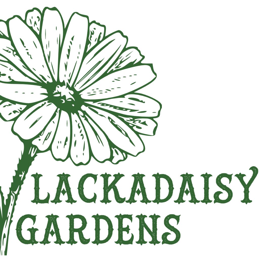 Lackadaisy Gardens