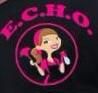 ECHO Elite Cleaning & Household Organization LLC
