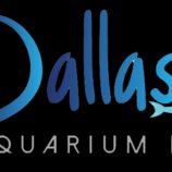 Dallas Aquarium Kings
