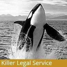 A Killer Legal Service