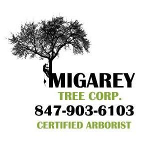 Migarey Tree Corp.