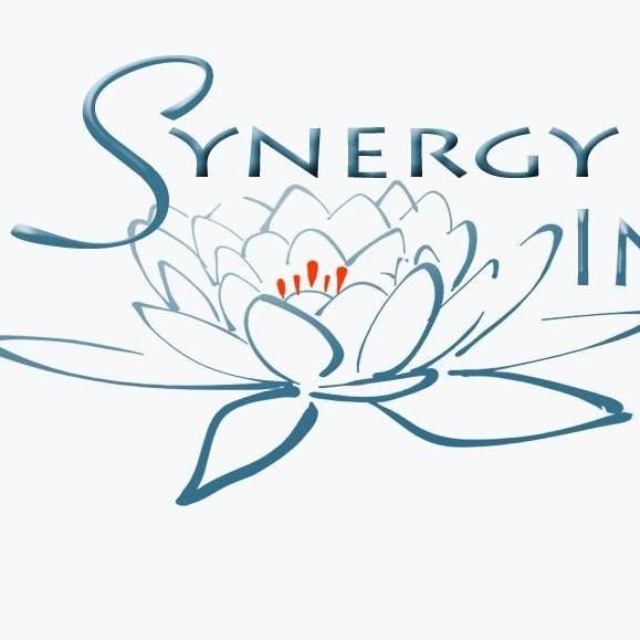Synergy Institute
