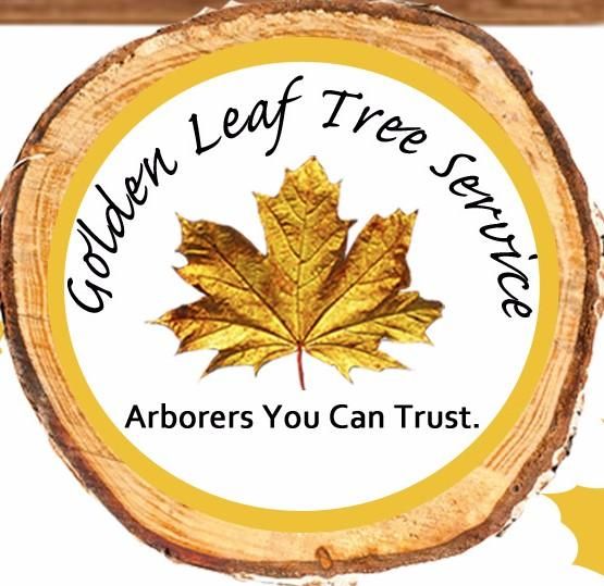 Golden Leaf Tree Service