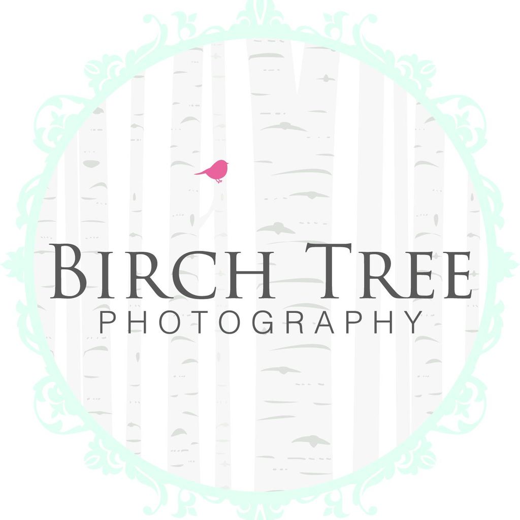 Birch Tree Photography