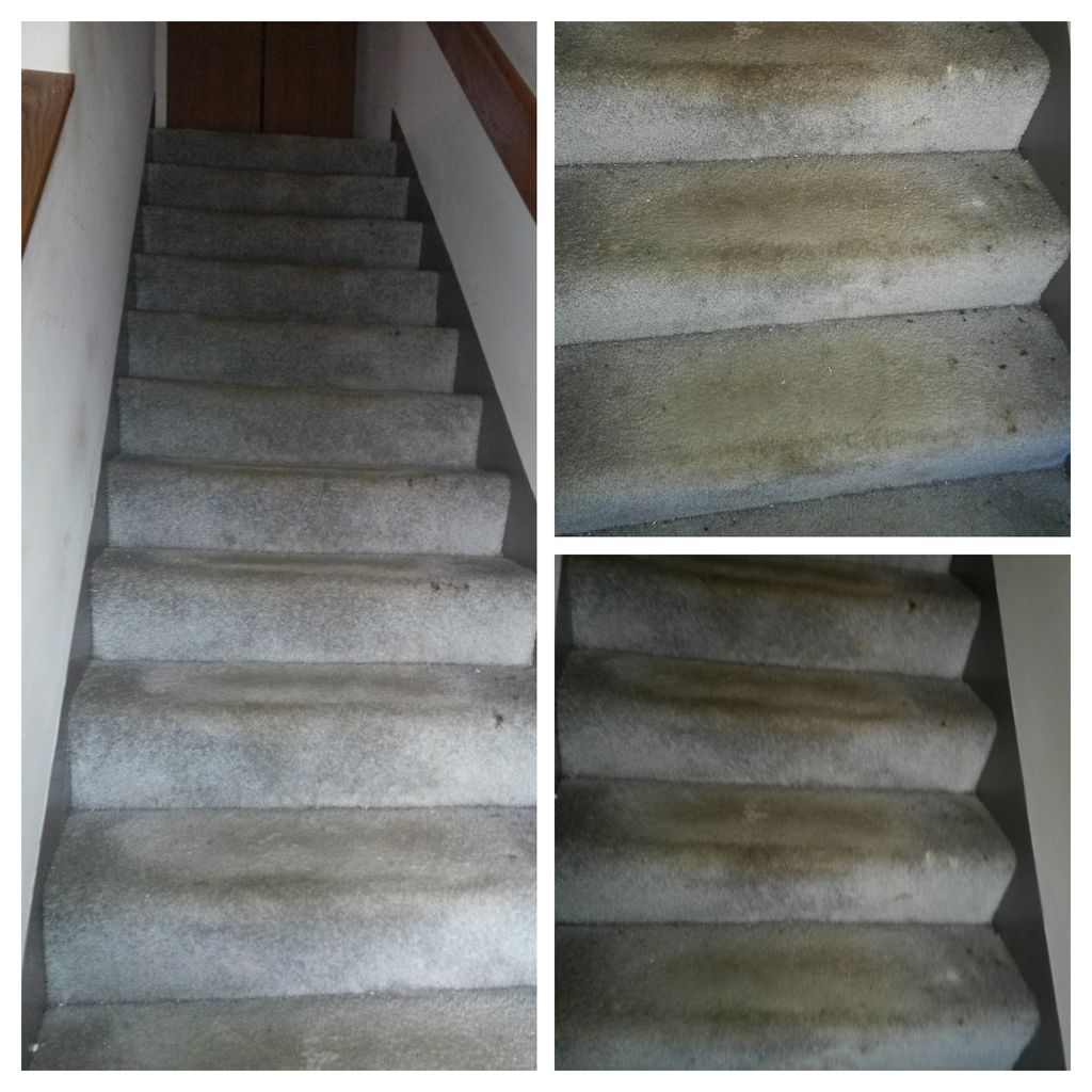 Before Stairs Carpet Cleaning