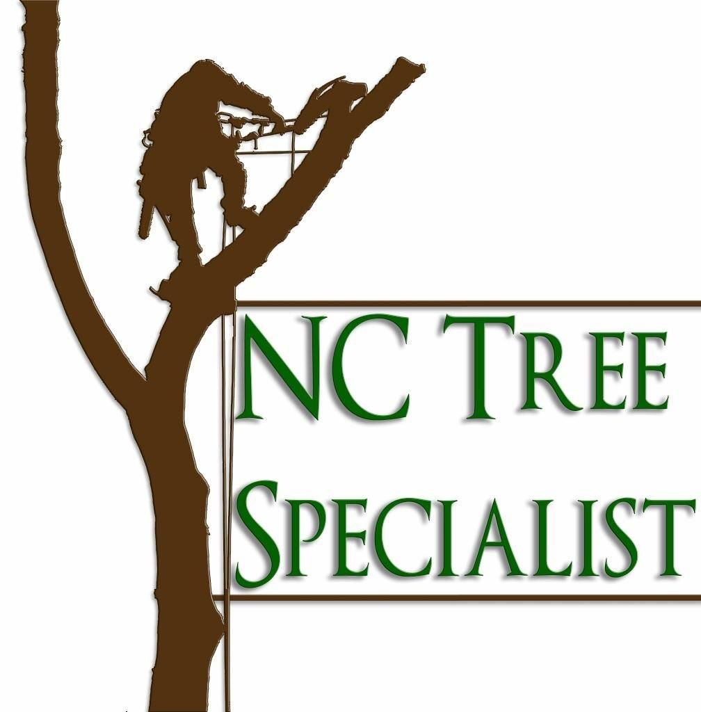 NC Tree Specialist