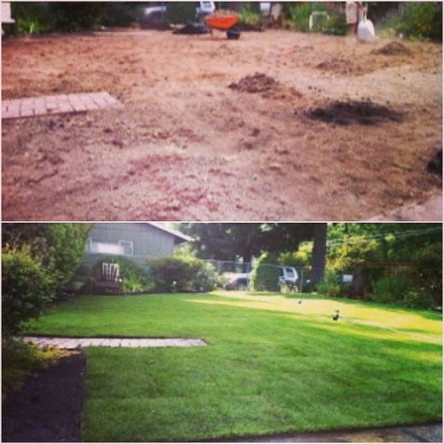 Before And After New Sod Installation.