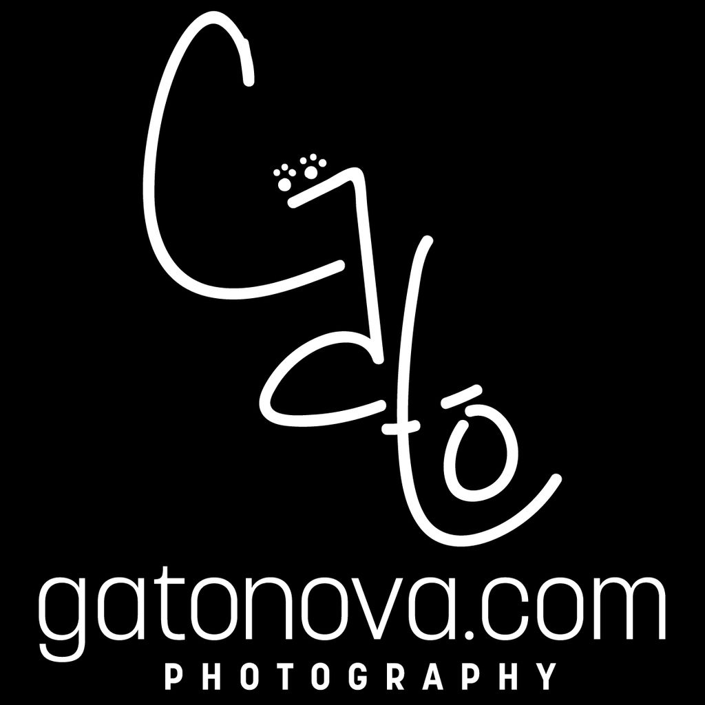 GatoNova Photography