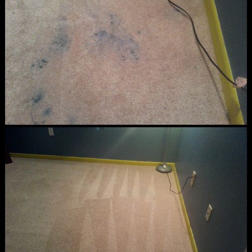 Blue paint removal from white carpet
