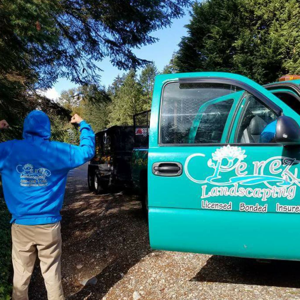 PLS Perez Landscaping & Services