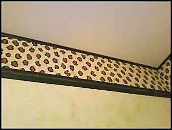 A dry-brush finish was painted on the walls, a leo