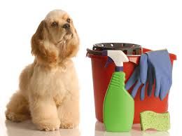 We have pets we know how to clean after them. 
** 