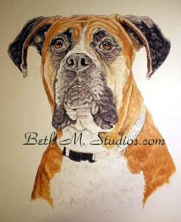 Foste-18x24 Color Pencil Portrait