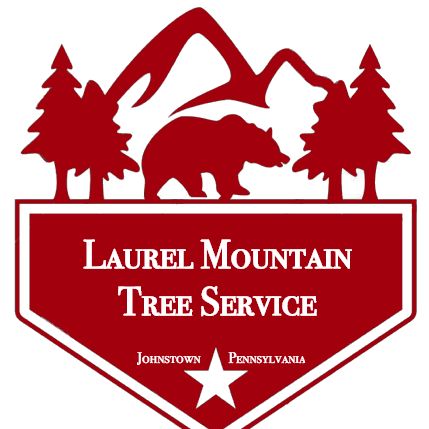 Laurel Mountain Tree Service