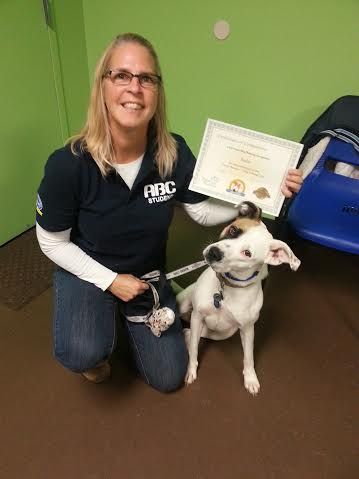 This is Lisa with Sasha, a Pit Bull/Boxer mix who 