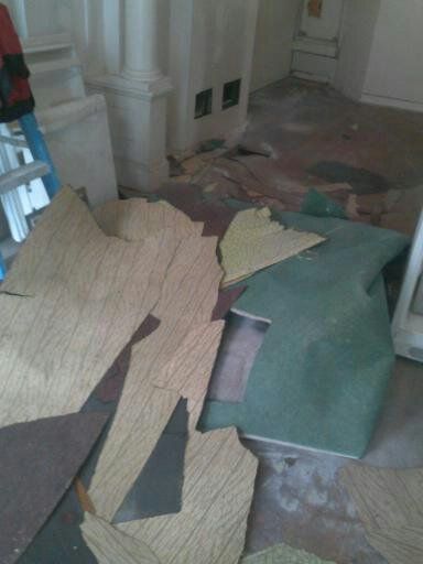 Gut outs and general debris removal I am your man 