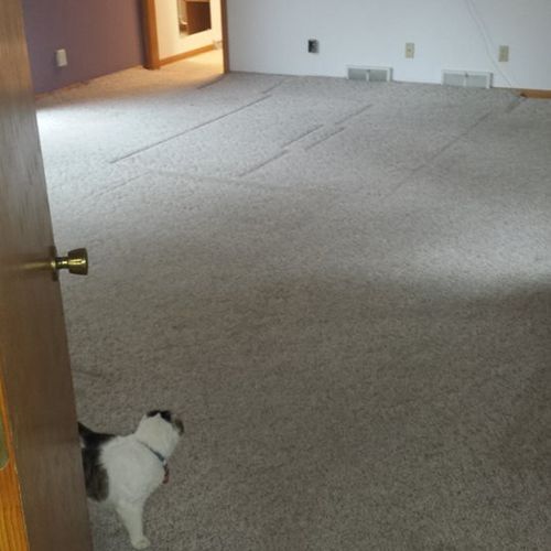 Before - MBR with carpet