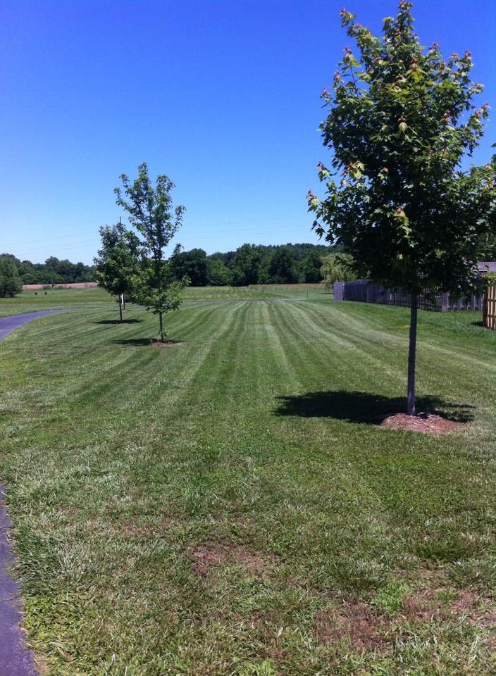 Striping Finish