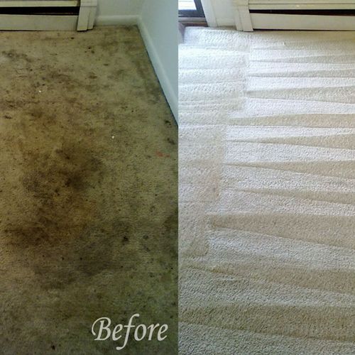 We can save your carpet and make it look brand new