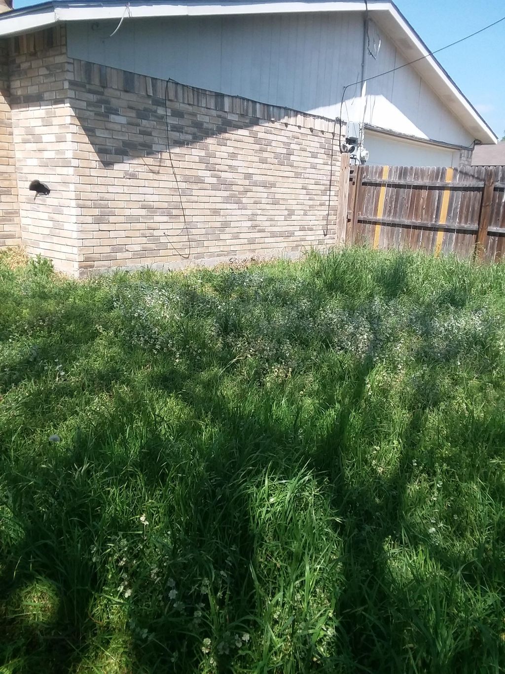 before somehow house