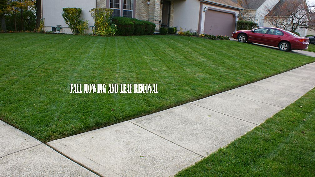 Every yard we cut we edge.